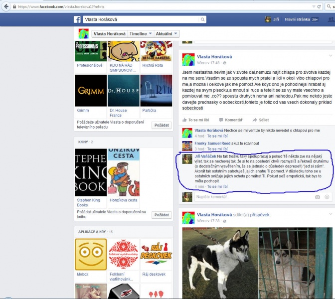 Soubor:Facebook Vlasty Horakove.jpg