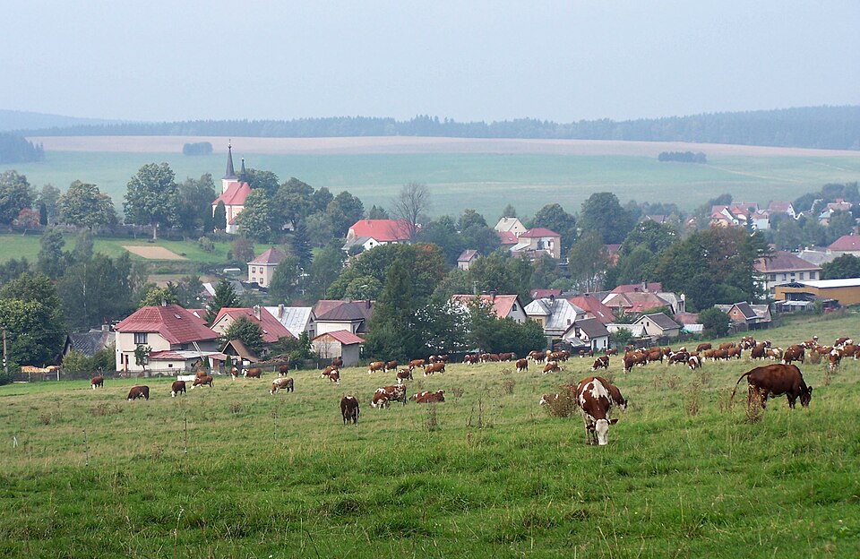 Soubor:Herálec (Vysočina) 2.JPG